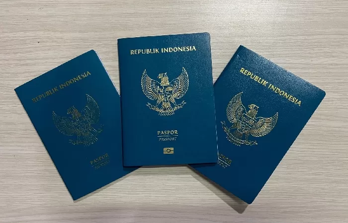 Paspor Dinas Biru Indonesia